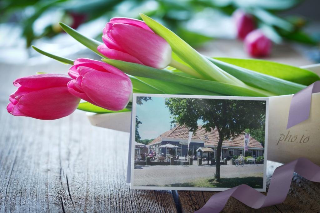 B&B Logement Grenzeloos Doldersum Ngoại thất bức ảnh